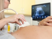 ¿Cuántas ecografías se realizan durante un embarazo?